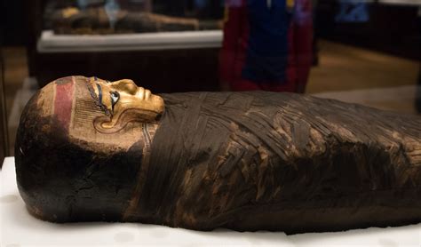 The curse of the mummy unleashed